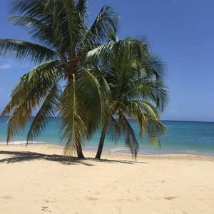 Meet your Posher, Maxine